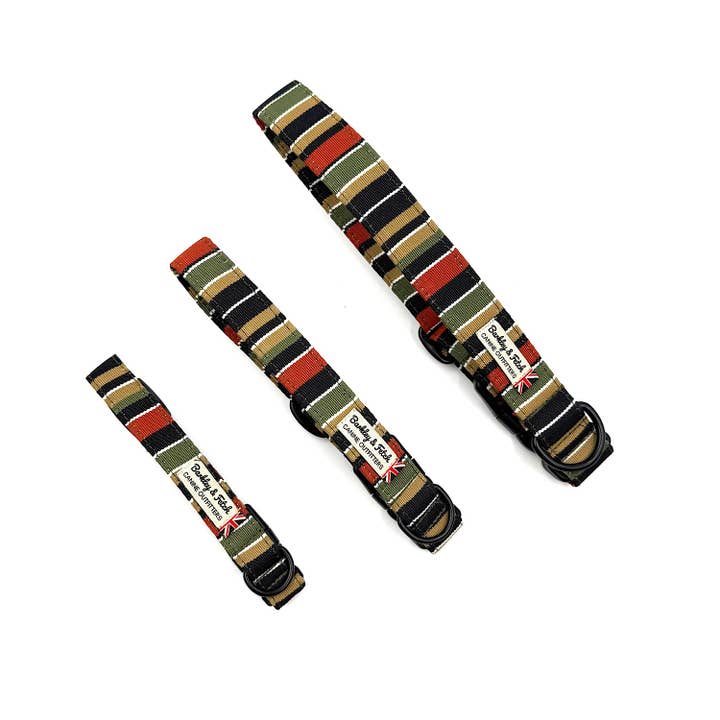 Collier pour chien à rayures romaines pour la vente par Barkley and Fetch