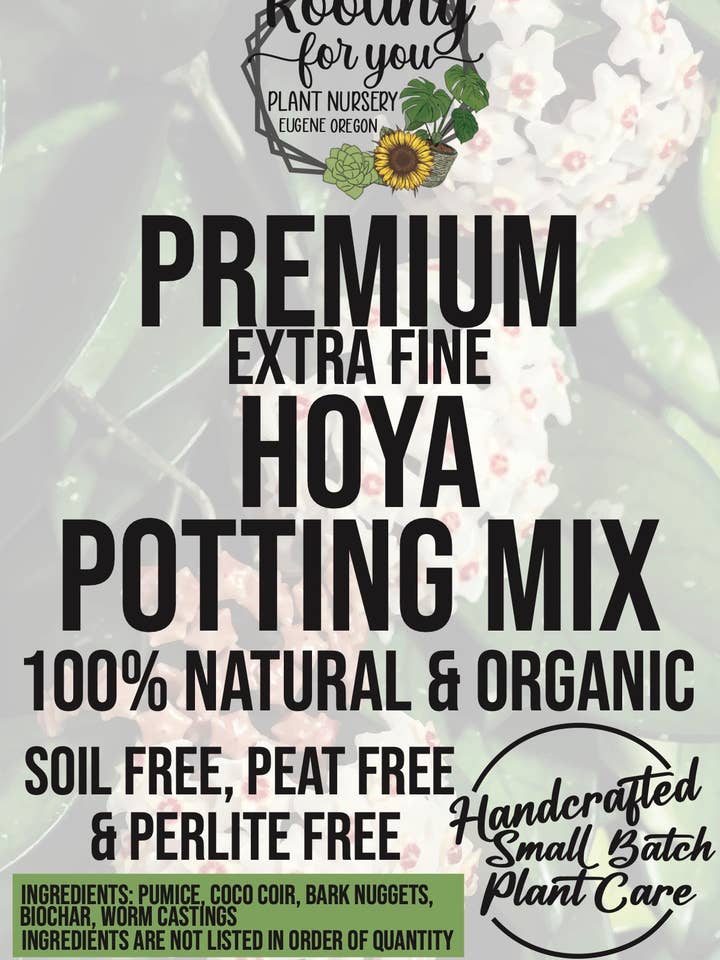 Extra Fine HOYA Premium Potting Mix for wholesale by Rooting For You Plant Nursery