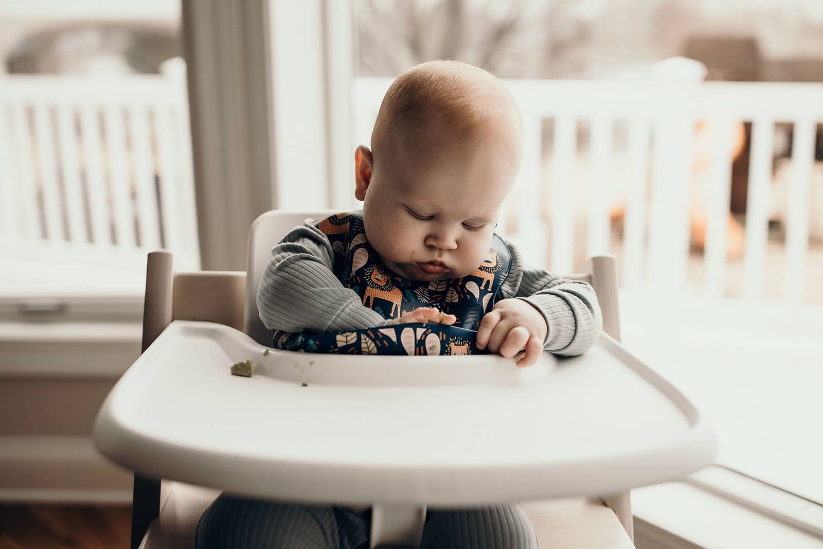 Three Little Tots - Wholesale Bib - Baby - Zoo Lion Print Silicone Bib with Crumb Catcher18