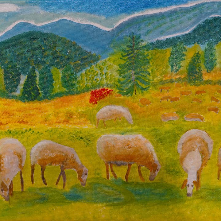 Schafweide für den Großhandel von Raggamuffin