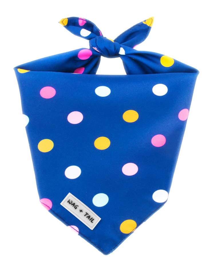 Reversible Dog Bandana - Confetti Cannon for wholesale by Wag + Tail
