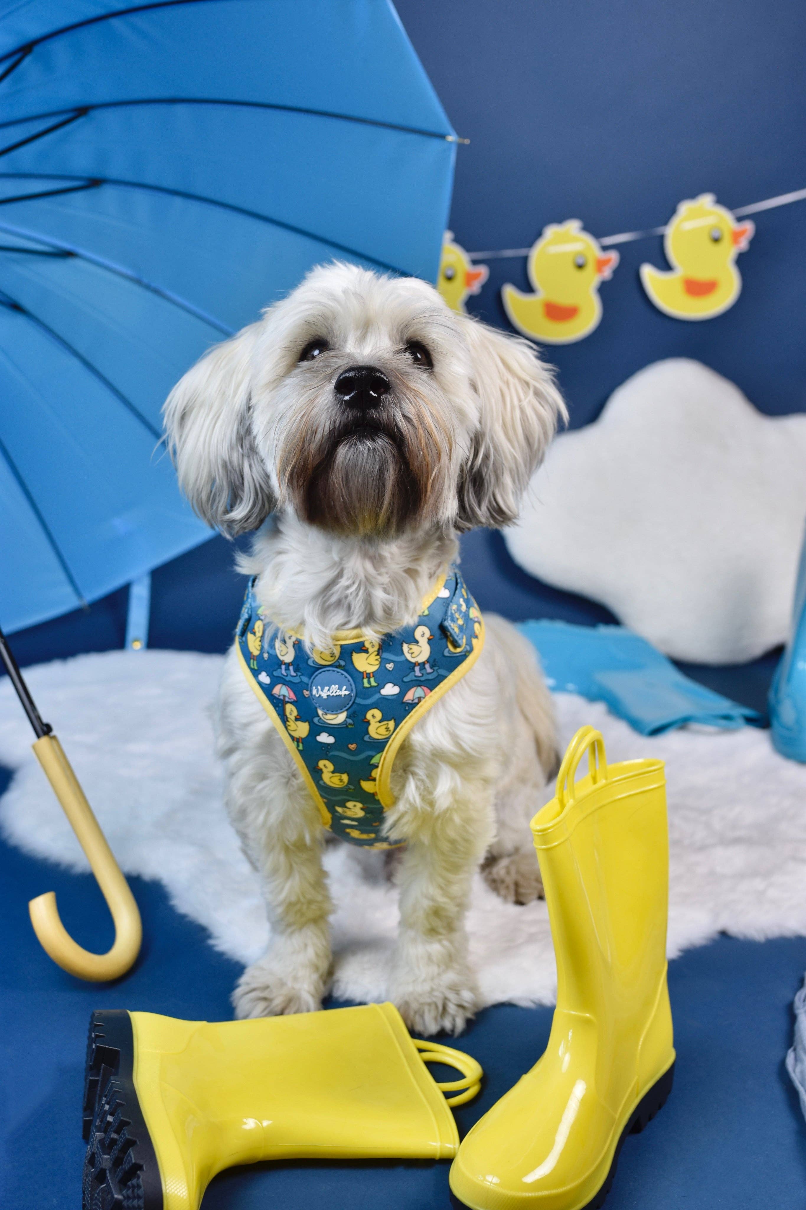 Wuffelliebe - Wholesale Pet Harness - Dog - You Quack me Up - Tableware3