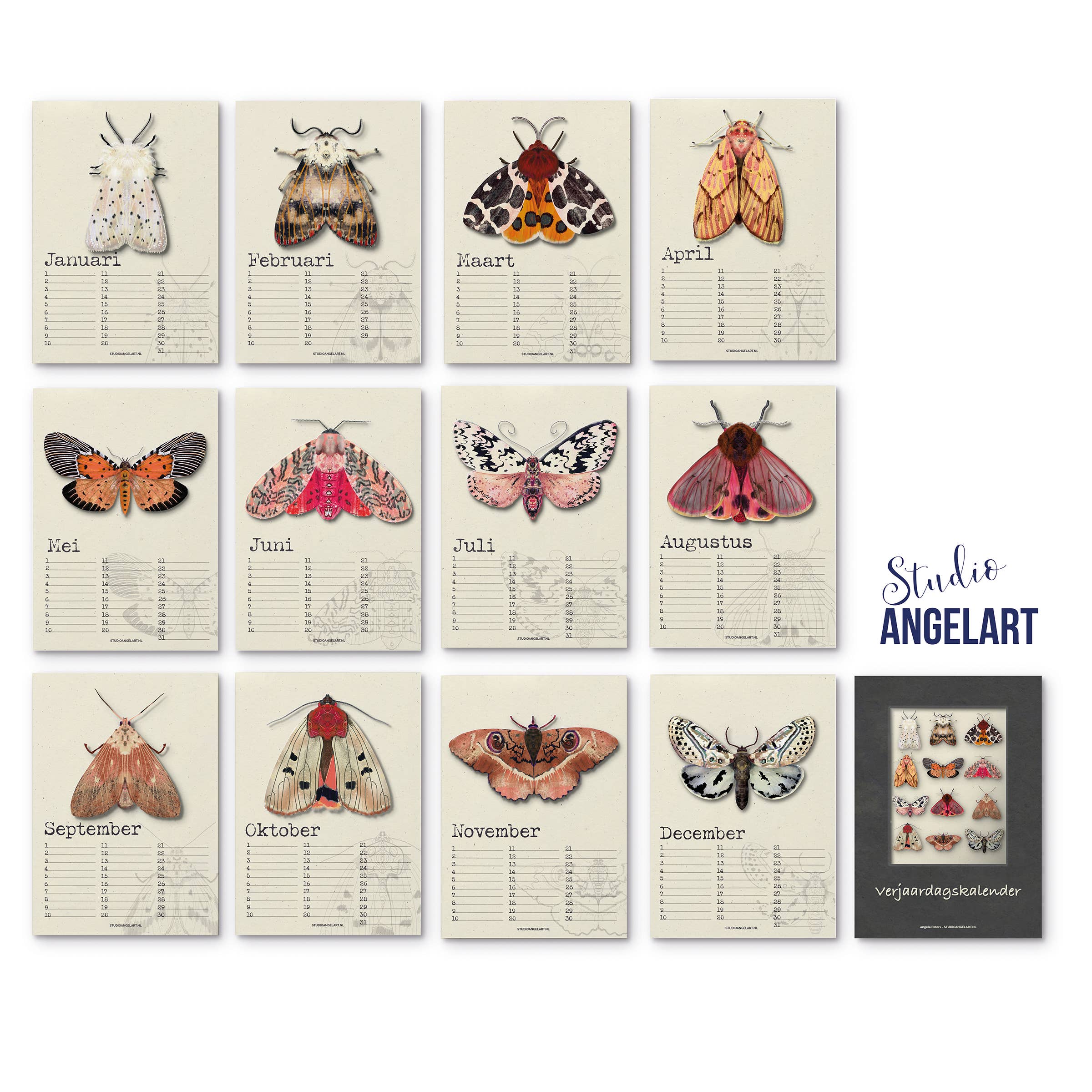 Studio Angelart - Wholesale Calendar - Birthday Calendar Night Butterflies1