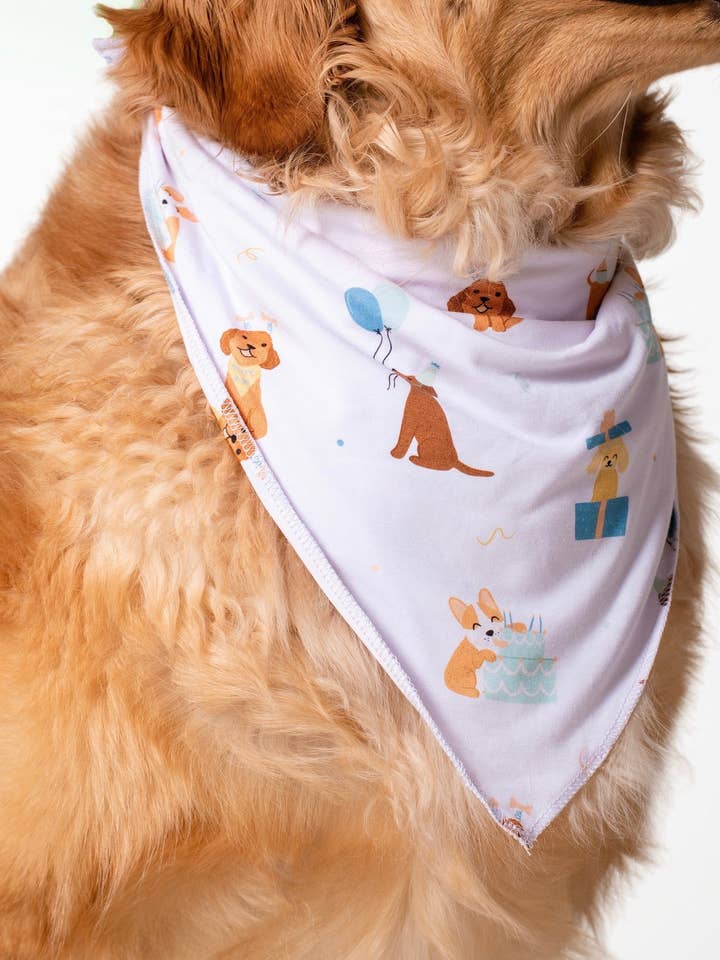 Pawty Pals Bandana de Bambú para Mascotas para venta al por mayor de Pearls & Pelicans