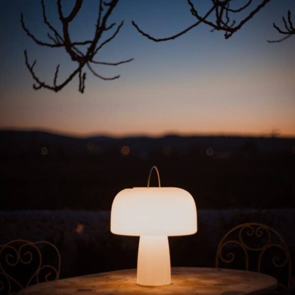 Goodnight Light - Wholesale Accent/Desk Lamp - The Boleti Lamp - Solar powered, portable lamp3