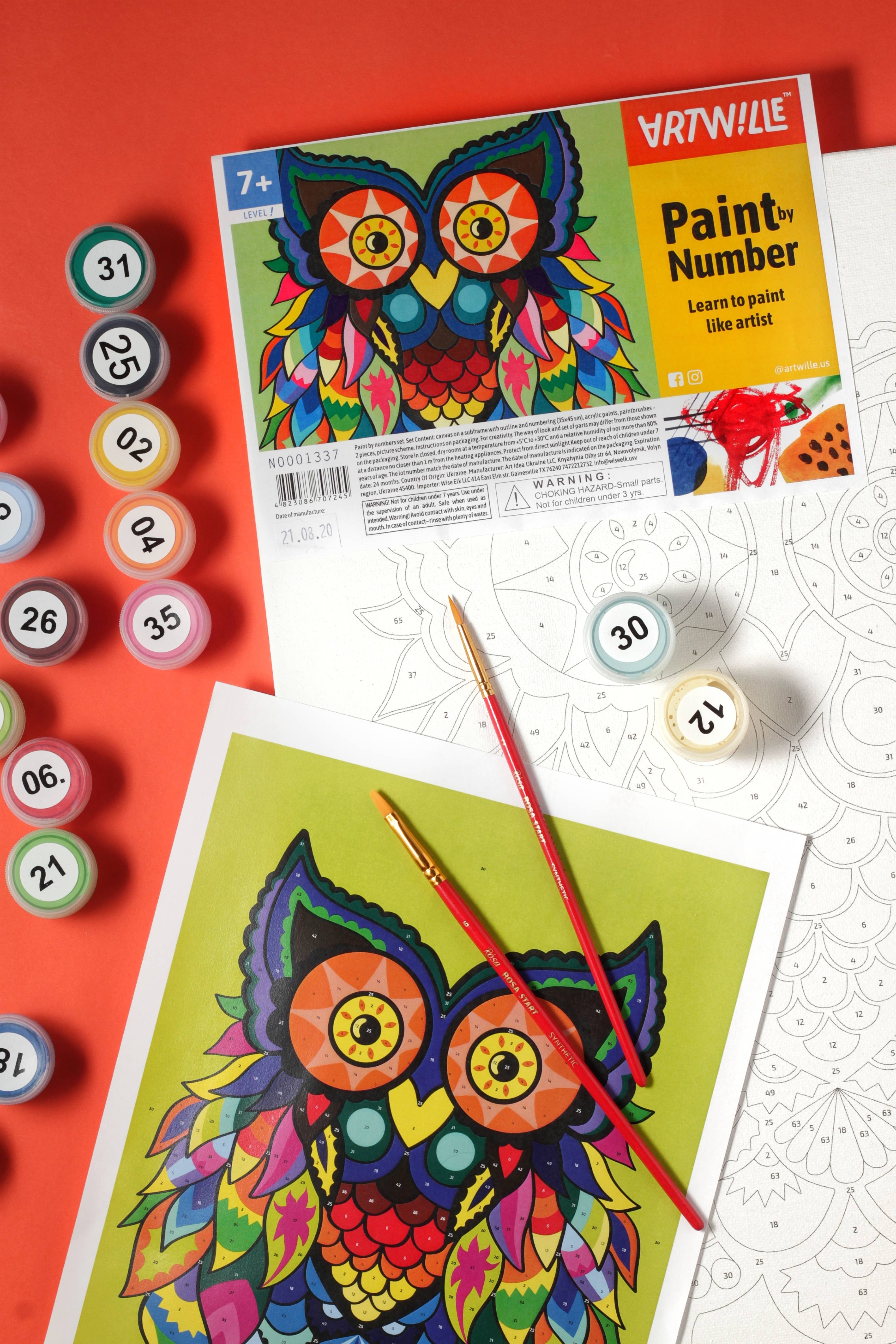 Fainotoys - Vente Assortiments de peinture - Peinture à faire soi-même Artwille par numéros - Hibou, niveau 12