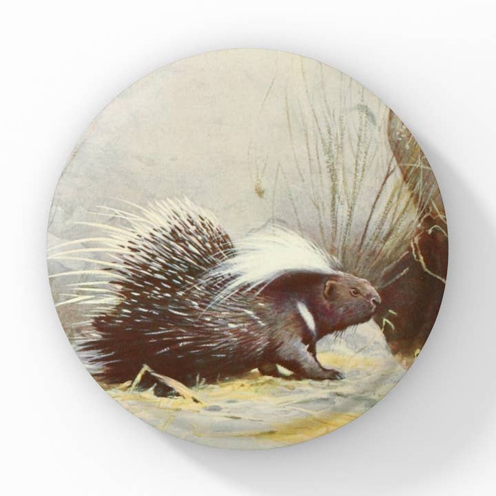 Pindsvinepin-knap, piggsvin nøglering, piggsvin magnet for engroshandel hos NatureCuts