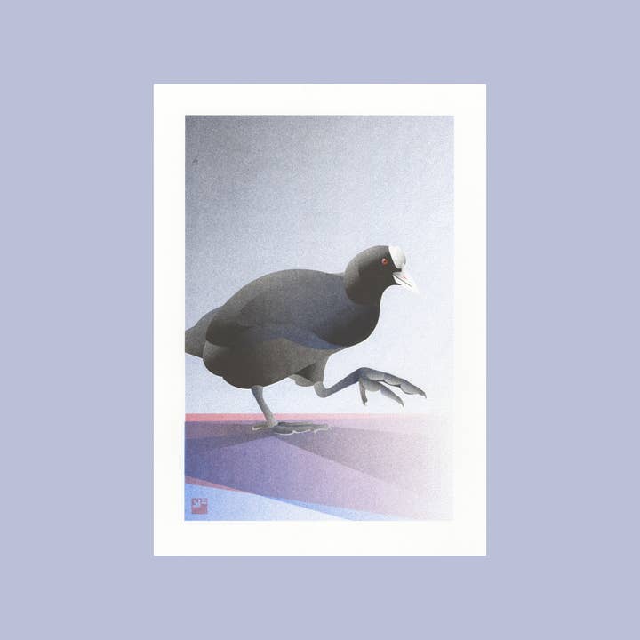 VrijFormaat - Wholesale Art Print - riso print - Coot - Bird art print - A4