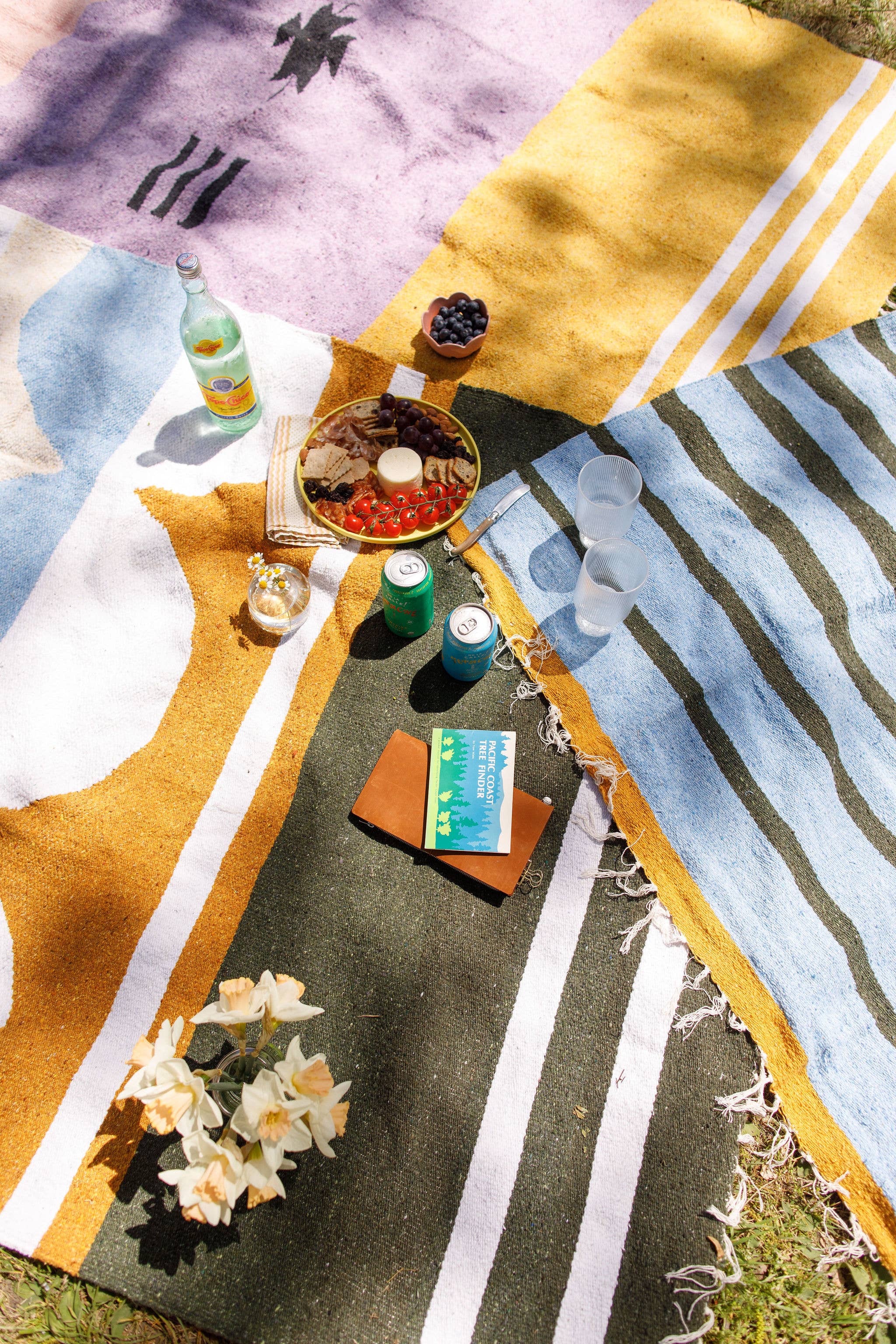 Caminito - Vendita all'ingrosso Coperte da picnic - Marea Lago - Coperta in rotolo5