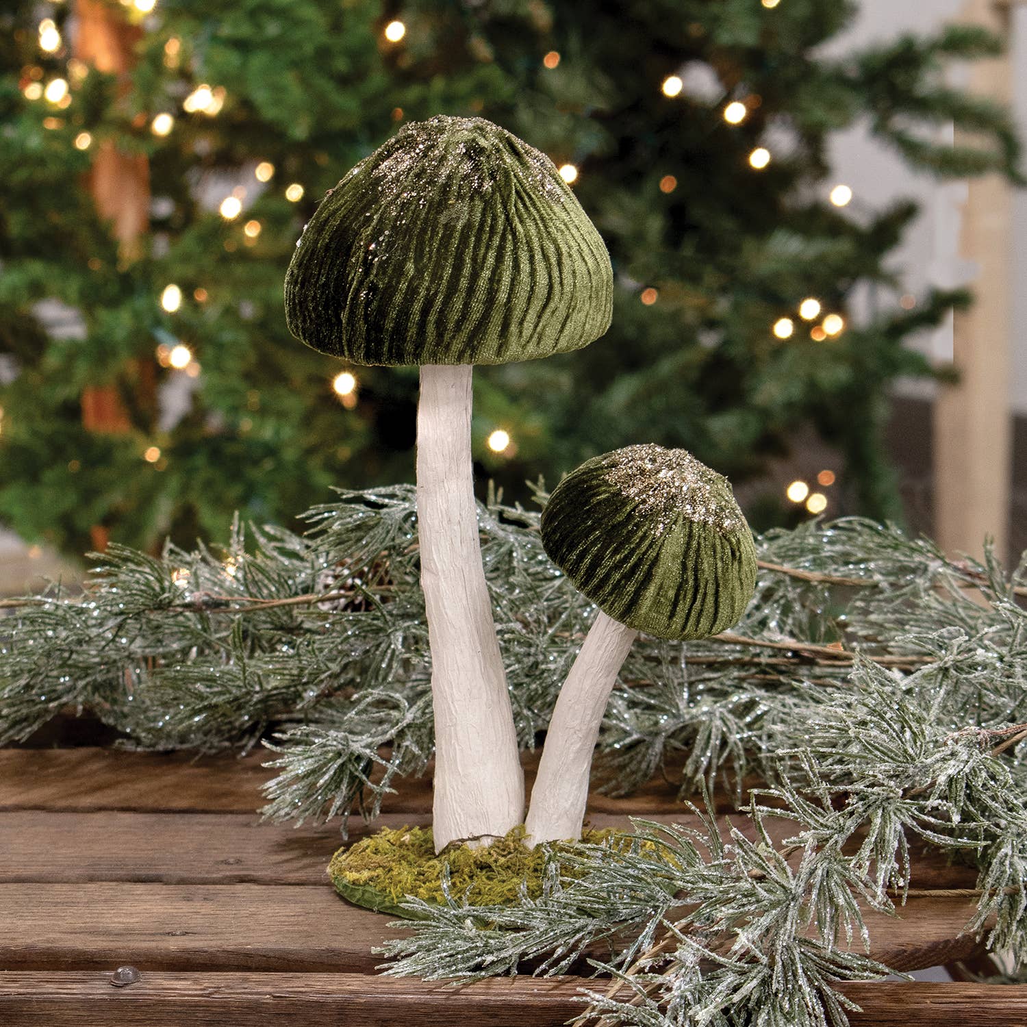 Col House Designs - Wholesale Decorative Tabletop Object - Woodland Green Mushrooms Sitter -  Large1