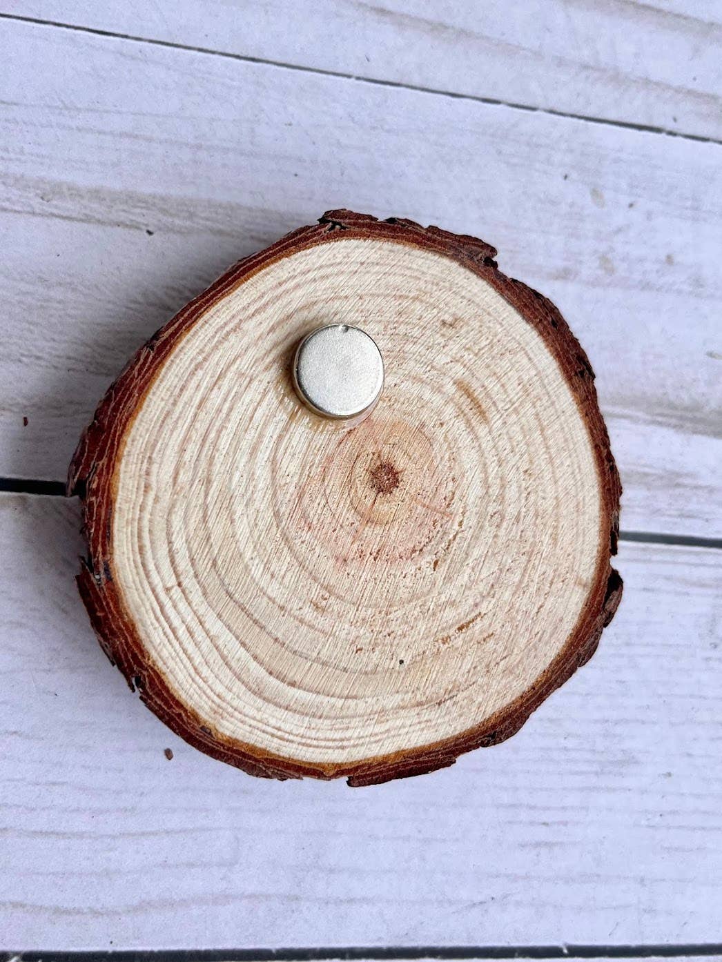 Branching Off Studio - Wholesale Magnet - Balance Rock Magnet4