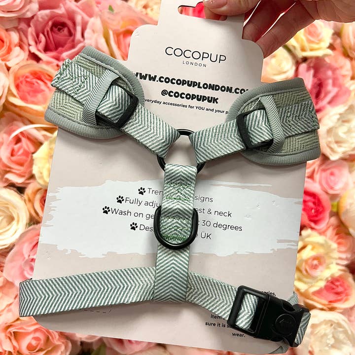 Cocopup London - Wholesale Pet Harness - Dog - Harness Packaging - Set of 31