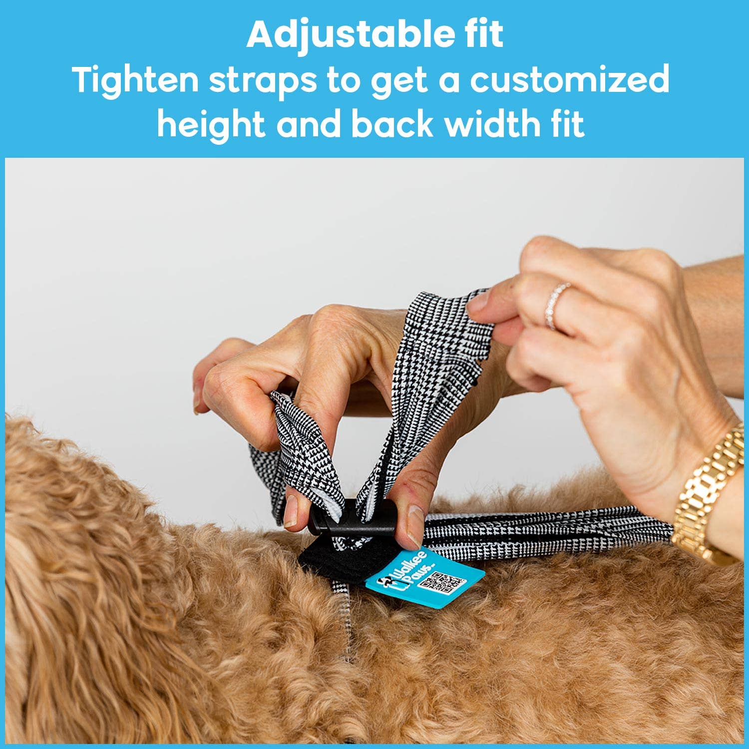 Walkee Paws – Großhandel Pfotenschutz für Haustiere – Deluxe Easy-On Hundestiefel-Leggings16