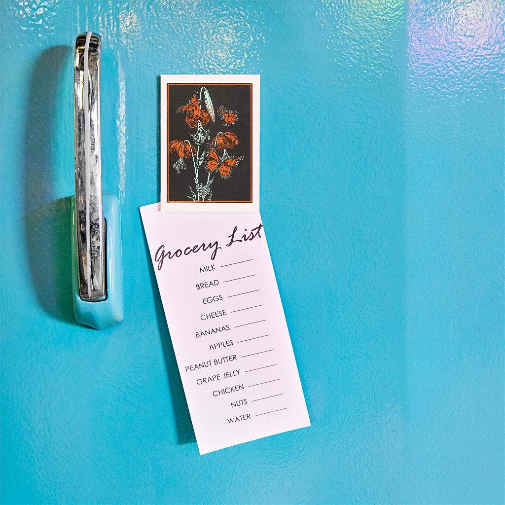 Found Image Press - Wholesale Magnet - Magnet IS-123 Monarch Butterflies1