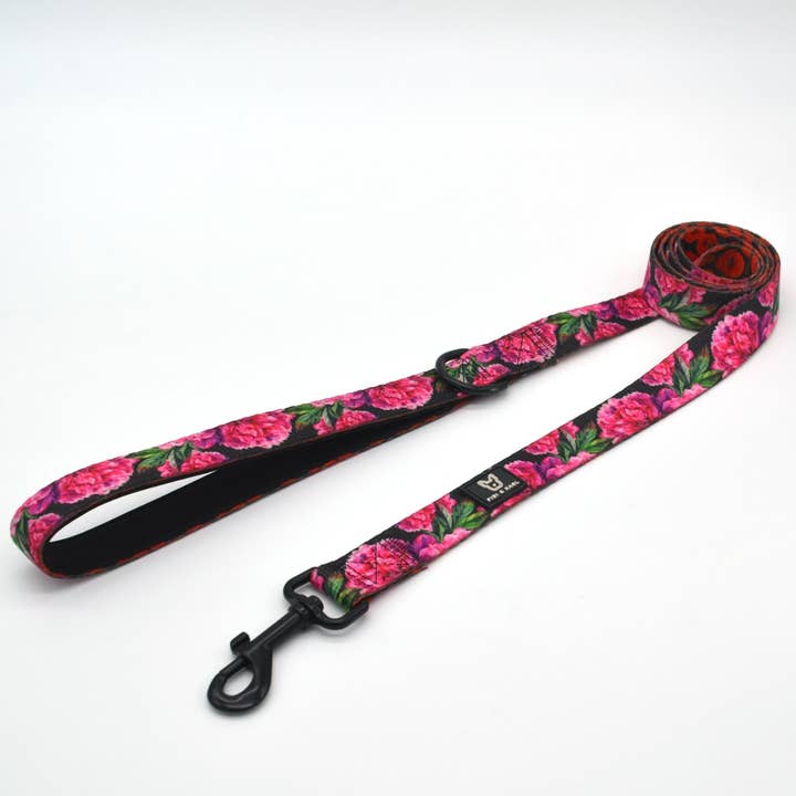 Hundkoppel empowerment från Fibi & Karl för wholesale av Fibi & Karl