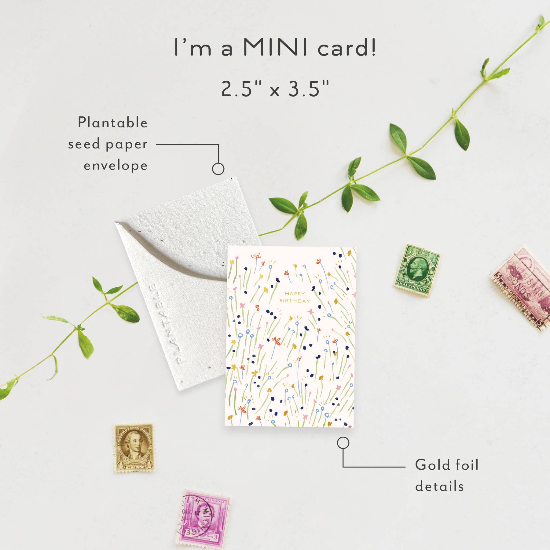 Seedlings – postal de parabéns por atacado – Doces Rebentos - Mini Cartão de Aniversário (6,35 cm x 8,89 cm)0