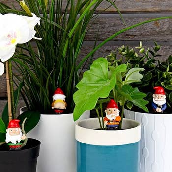  Gift Republic Mini Plant Pot Yoga Cats, Multicolor