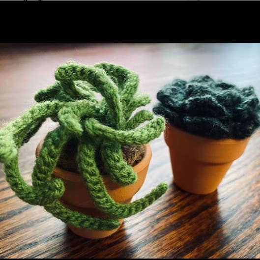 Rosemary's Baby MEK - Wholesale Decorative Tabletop Object - Crochet Mini Cactus Pots