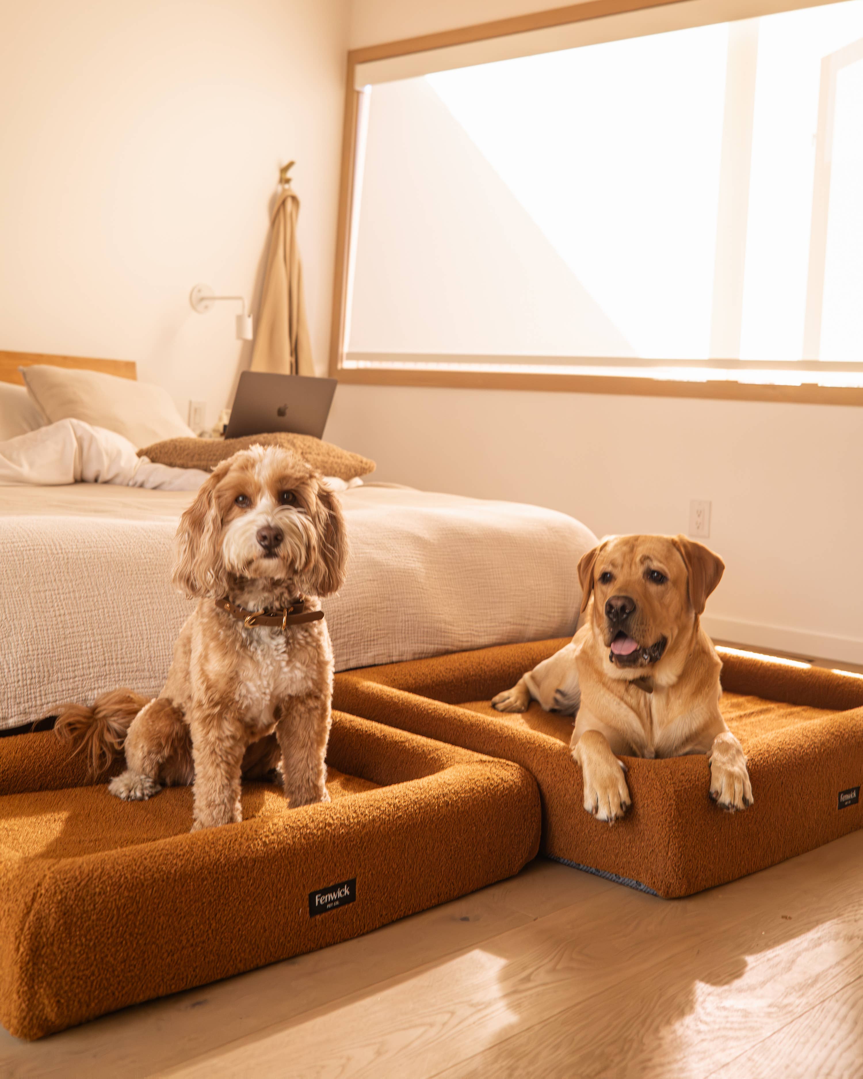 Fenwick Pet Co. - Vendita all'ingrosso Letto - Cani - Cuccia Teddy per Cani2