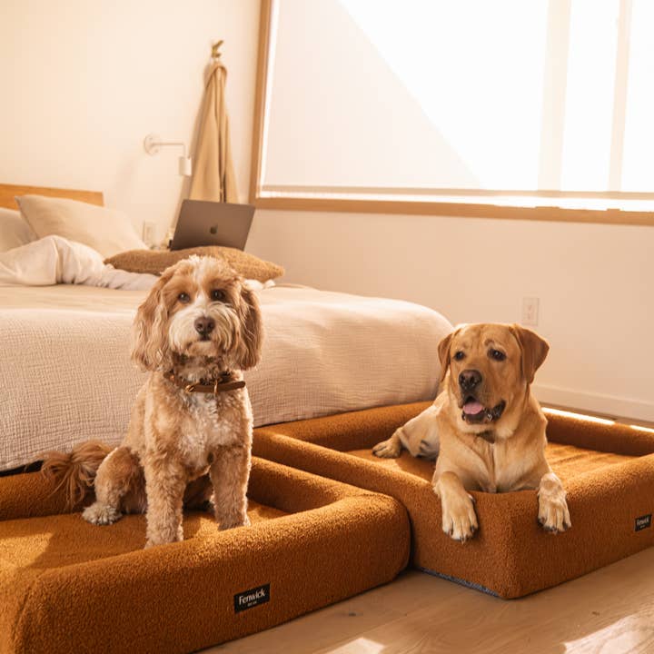 Fenwick Pet Co. – wholesale Pet bed – Dog – Teddy Dog Bed2