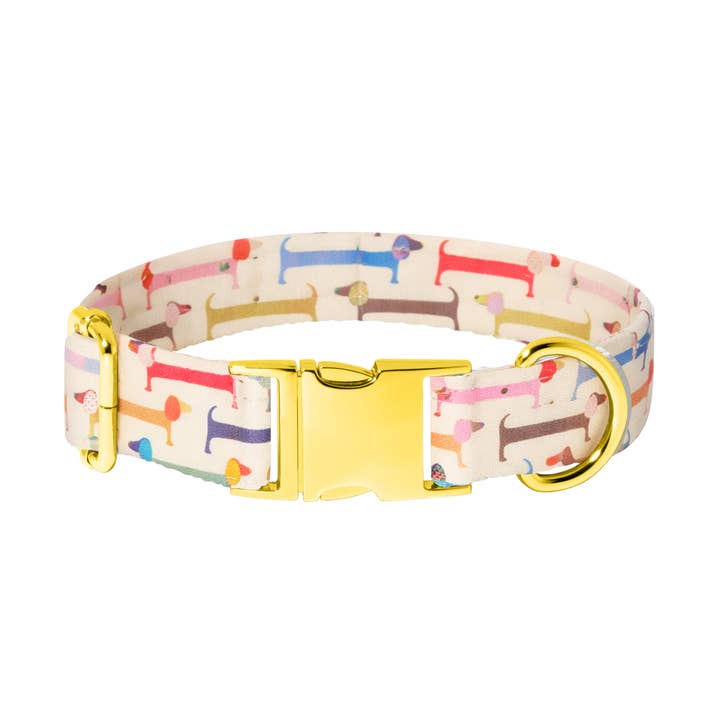 Dachshund Dog Collar for wholesale by Pretty posh pups