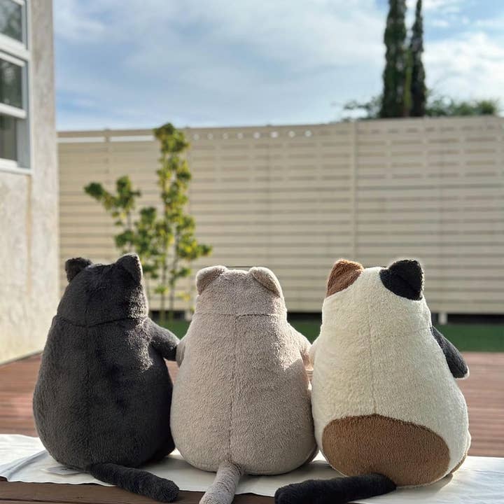 Greeting Life America - Vendita all'ingrosso Peluche - Bambini e neonati - Libuhao 27722-73 Cuscino avvolgente, Cat Positivity (M)