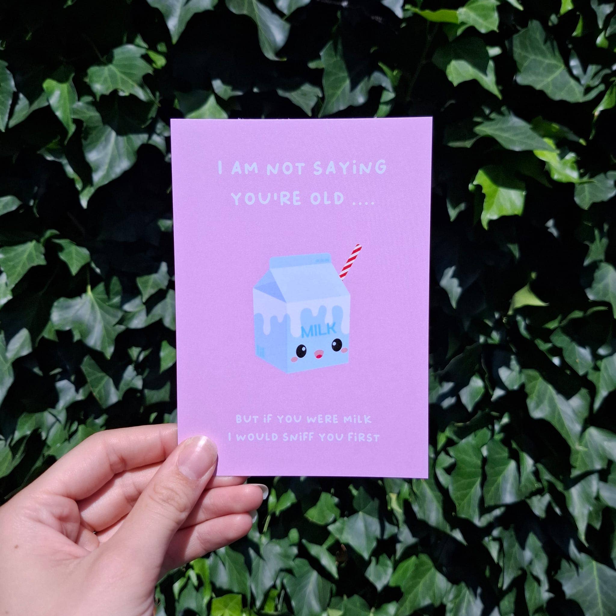 Studio Inktvis - Wholesale Birthday Card - Funny Birthday Card – “I'm Not Saying You're Old” milk2