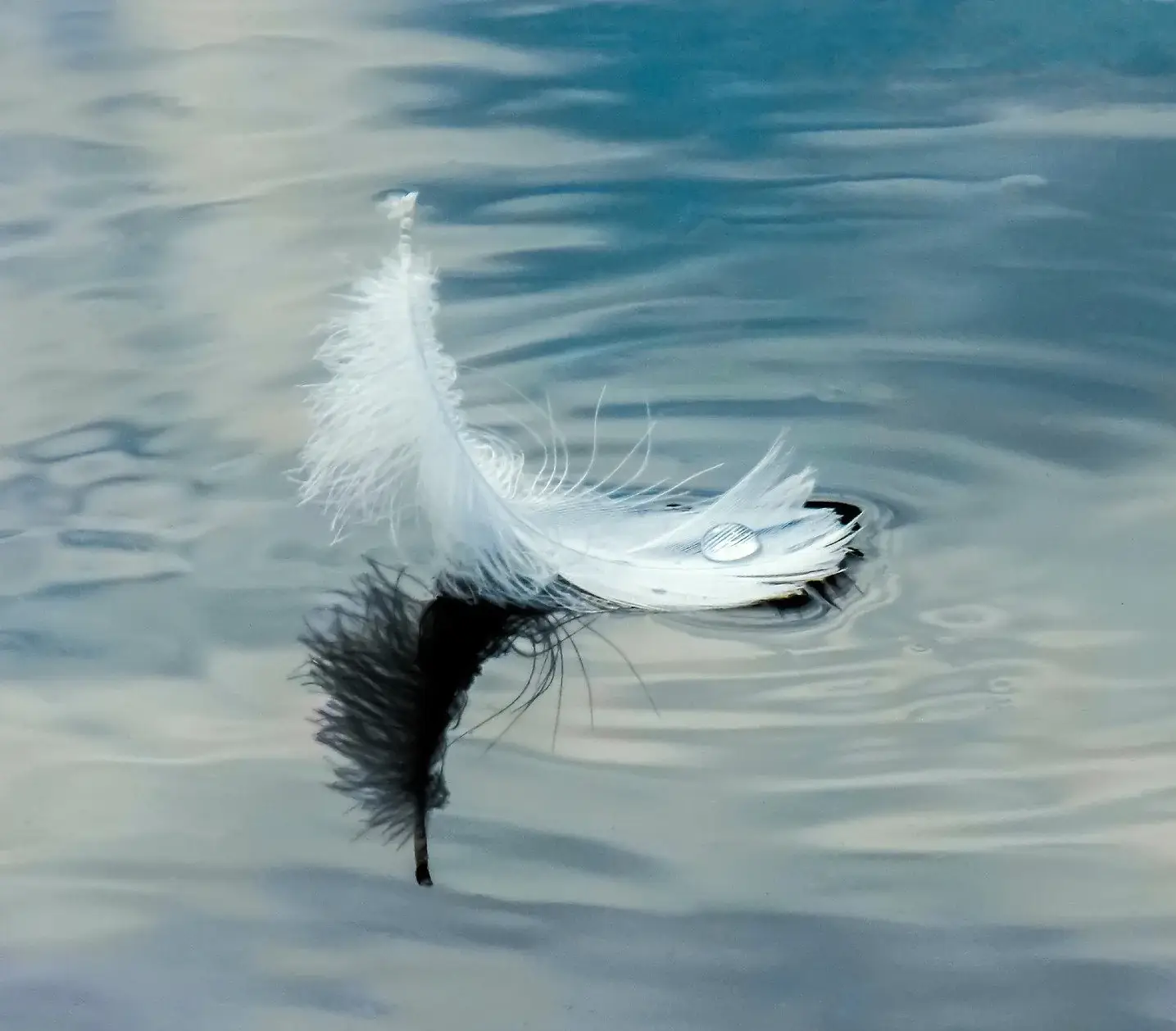 MadamLili - Vente Bracelets à breloques/pendentifs - Bracelet jonc avec vraies plumes - Bijoux Ailes d'Ange - RETARM12