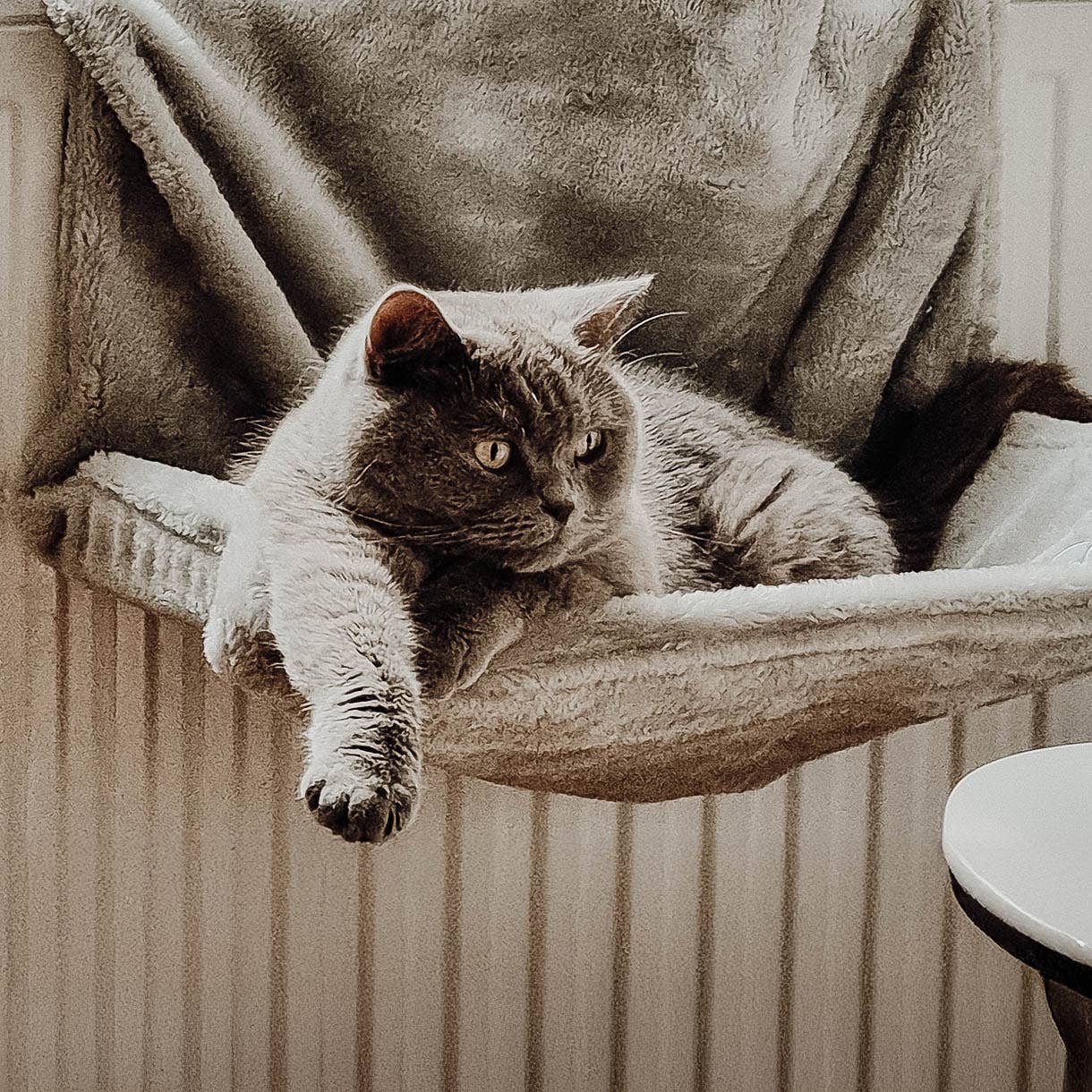 ne&no - Wholesale Pet Bed - Cat - ne&no® Cozy Radiator Bed for Cats - adjustable16