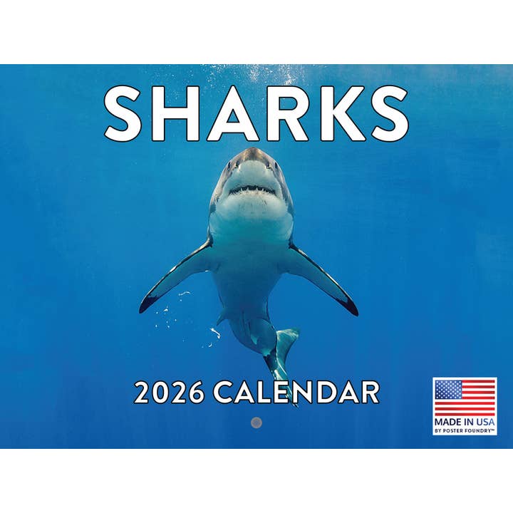 Multi-cor Calendário de Tubarões 2026 Calendário de Parede Mensal 12 Meses | Fabricado nos EUA para venda a revendedores na Faire