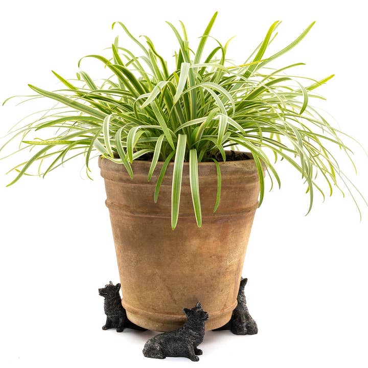 Corgi Plant Pot Feet - Set of 3 for wholesale by Jardinopia UK