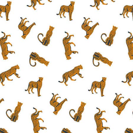 Nashville Wraps - Wholesale Tissue Paper - Animal Print Bulk Tissue Paper Sheets