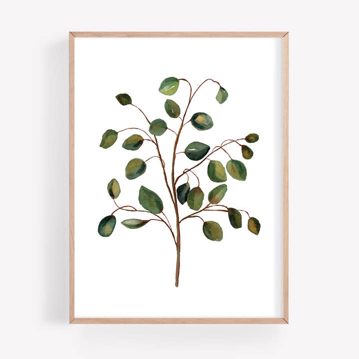 Impression d'art aquarelle Silver Dollar Eucalyptus pour la vente par Farmcliff Studio