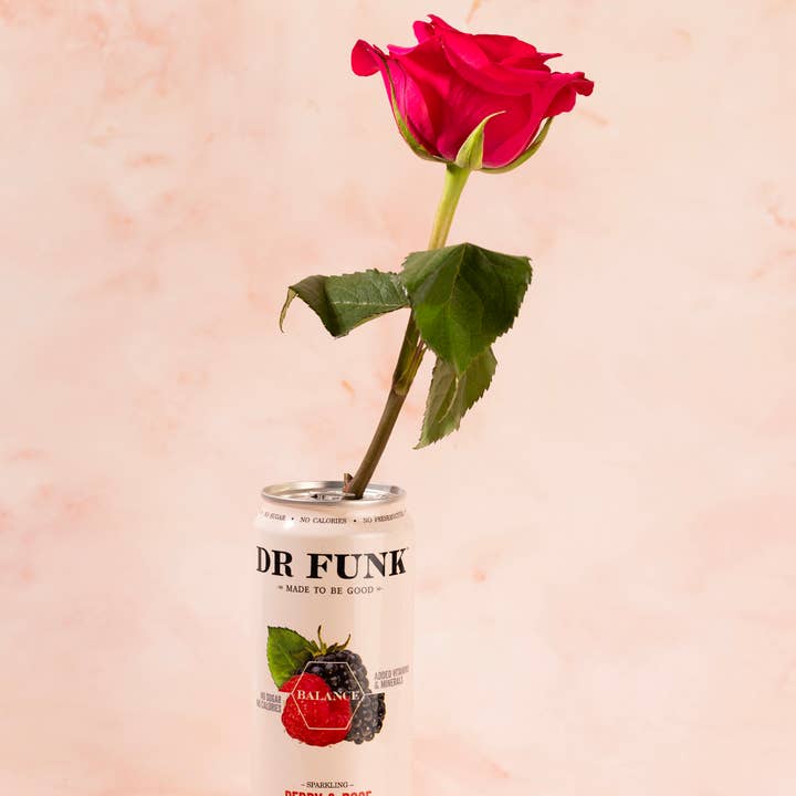 Dr Funk – wholesale Sparkling water – Berry & Rose with 7 essential nutrients 12 Pack6