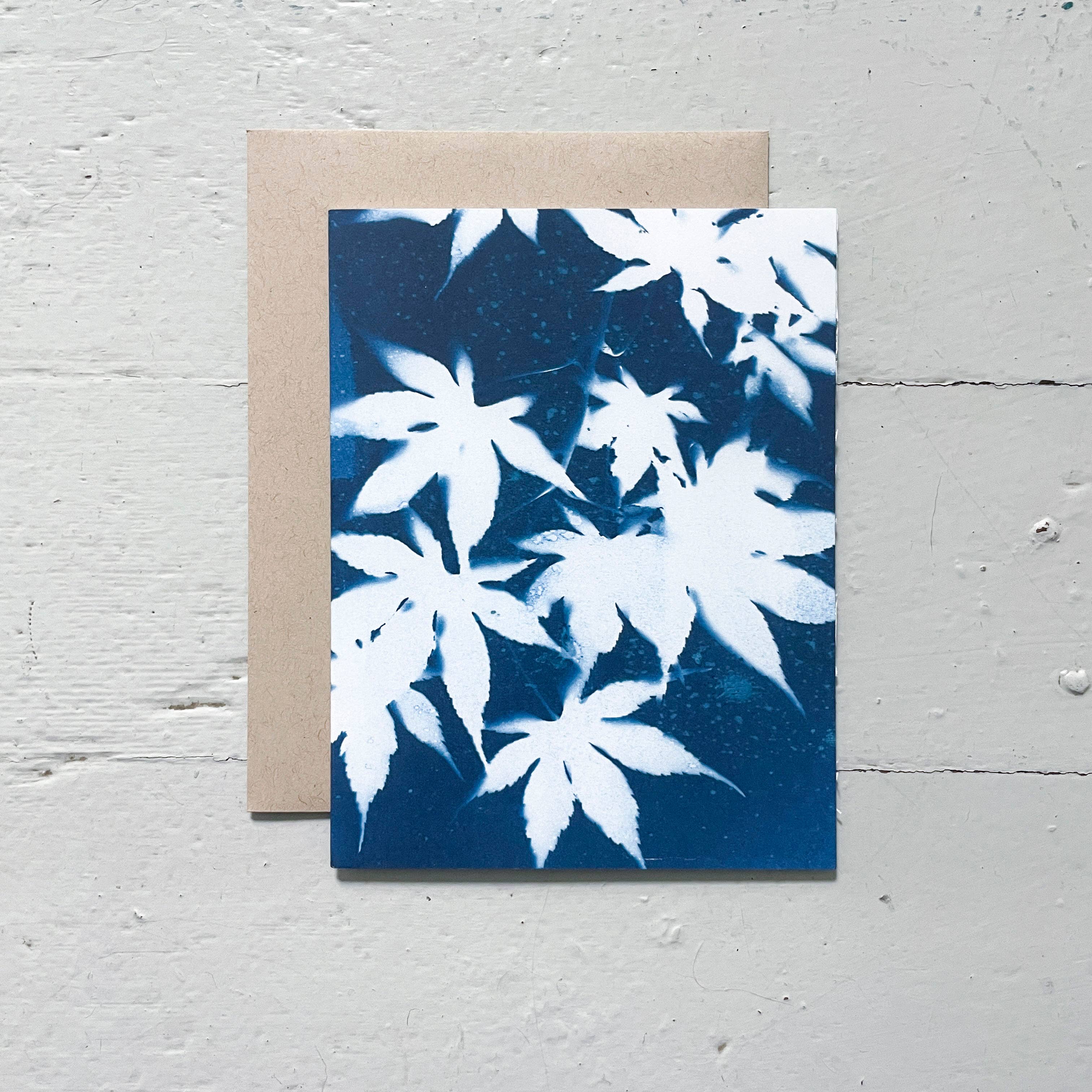 Atwater Designs - Vente Carte de vœux classique - Coffret de cartes de vœux Slow Mornings | Botanical Cyanotype12