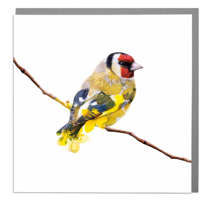 Gold Finch Blank Art Card by Lola Design for wholesale by Lola Design Ltd
