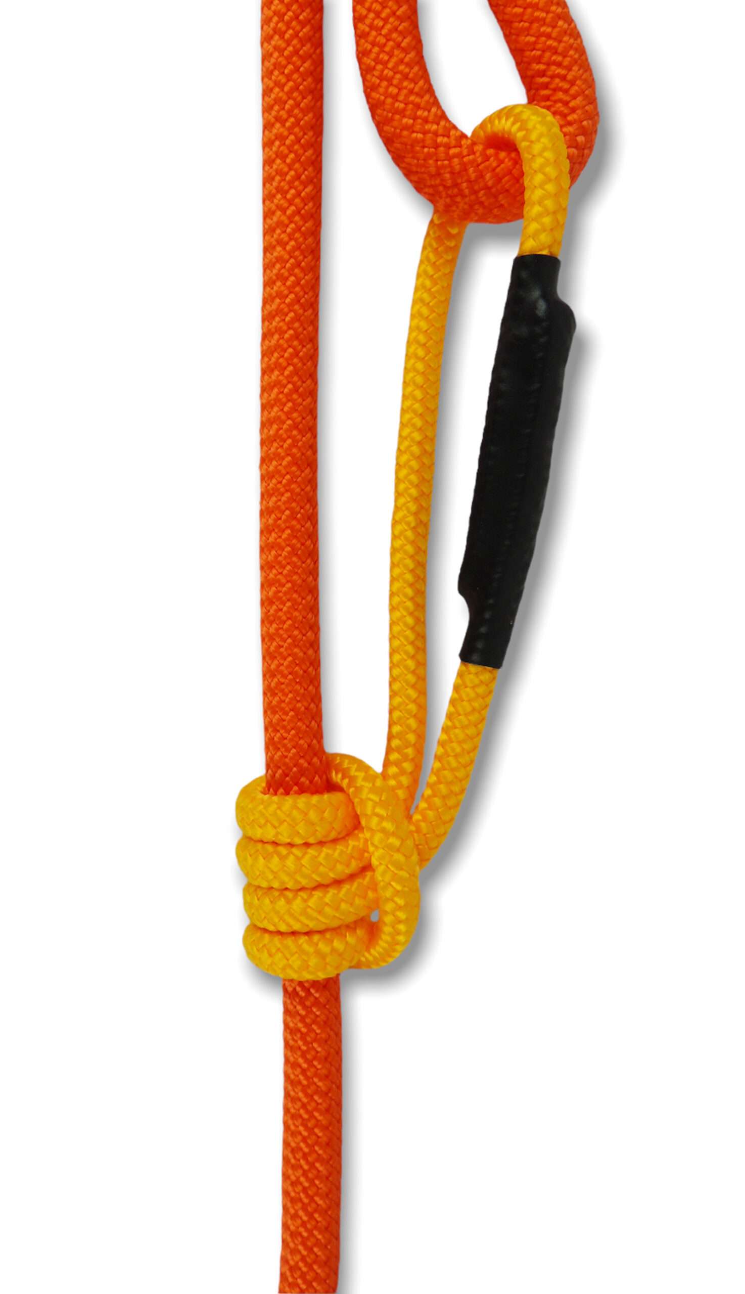 Blue Heeler – Engroshandel Hundesnor - Hund – Sorbetti Orange - Udtrækkelig hundesnor2