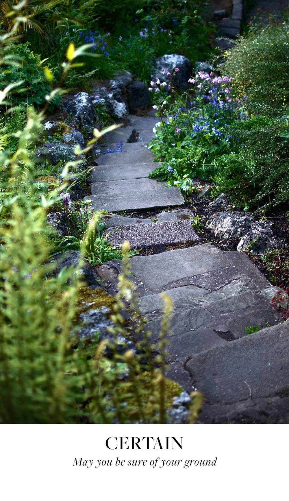 Texas Bookman - Wholesale Tarot Cards - Earth Blessings Oracle Cards (48 Cards and Guidebook)2