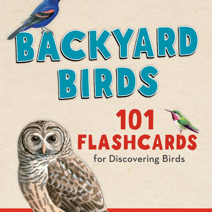 REMOVED BRAND - Wholesale Learning Cards - Kids & Baby - Backyard Birds: 101 Flashcards for Discovering Birds
