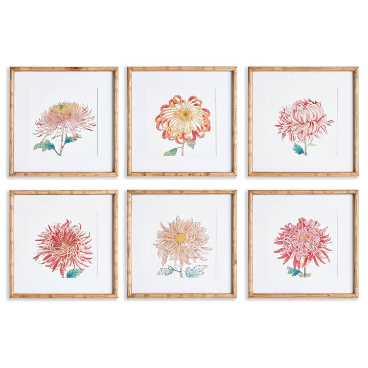 Pink Colorful Chrysanthemum Prints, Set Of 6 for wholesale on Faire