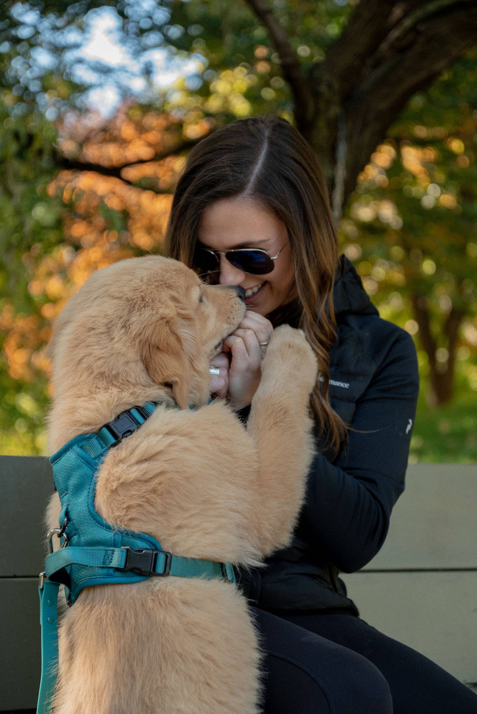 Peachy Dogs - Wholesale Pet Harness - Dog - Mojito Classic 2.0 Harness1