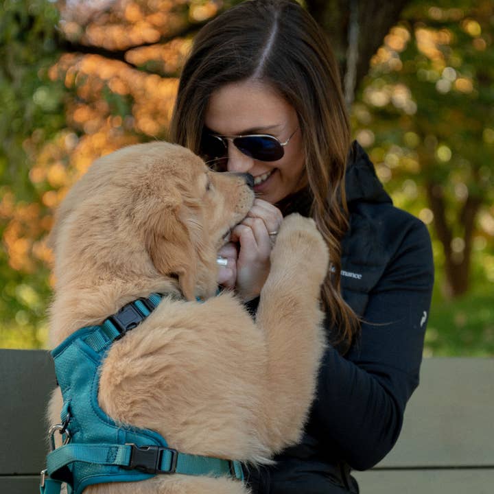 Peachy Dogs - Wholesale Pet Harness - Dog - Mojito Classic 2.0 Harness1