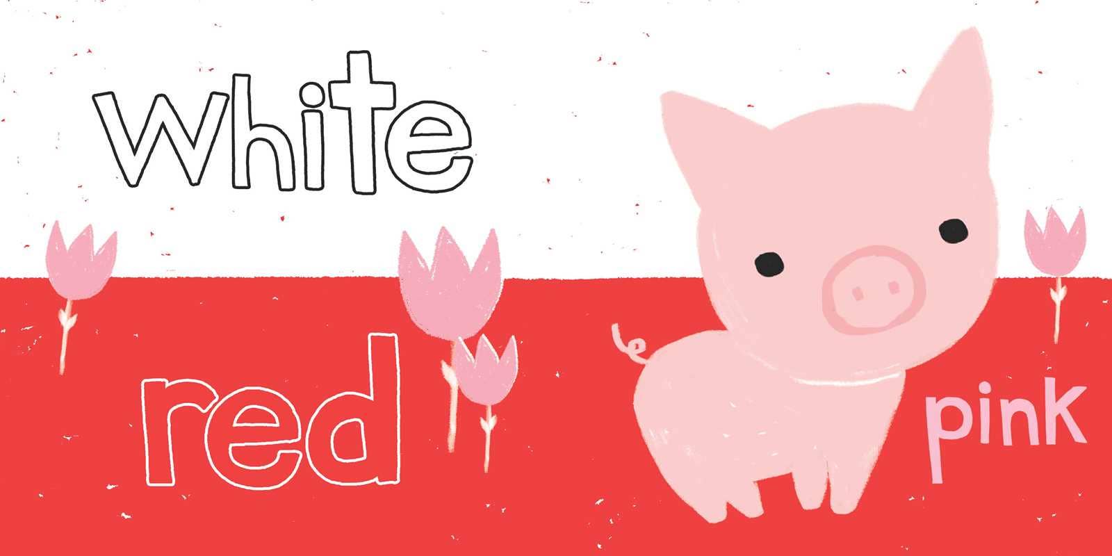 Simon & Schuster - Wholesale Baby & Toddler Book (0-2) - Critter Colors by Ashley G.3