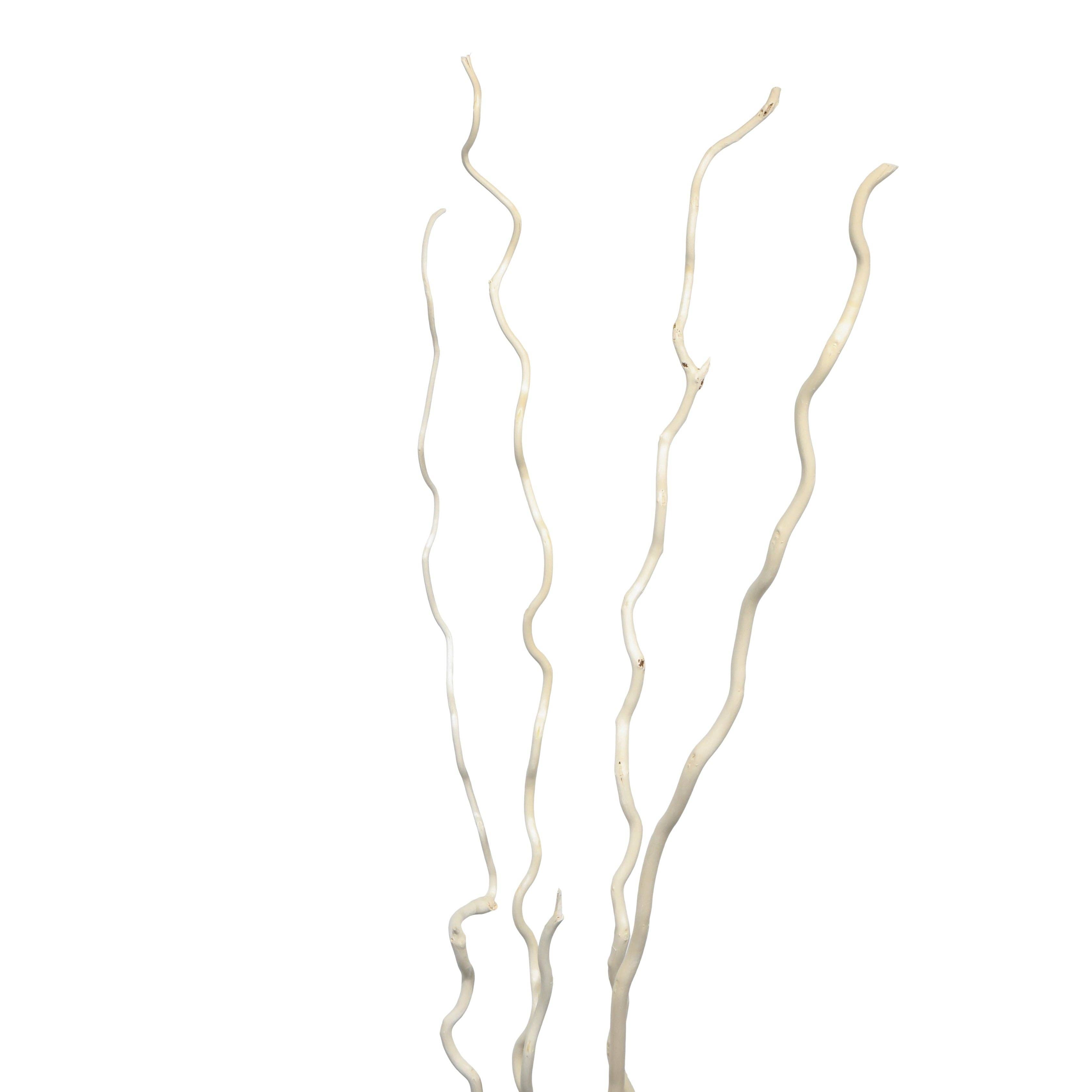 Dried Decor - Wholesale Dried/Pressed Flowers - Corkscrew Willow Branches | 6 Bunches | Color Options Available2