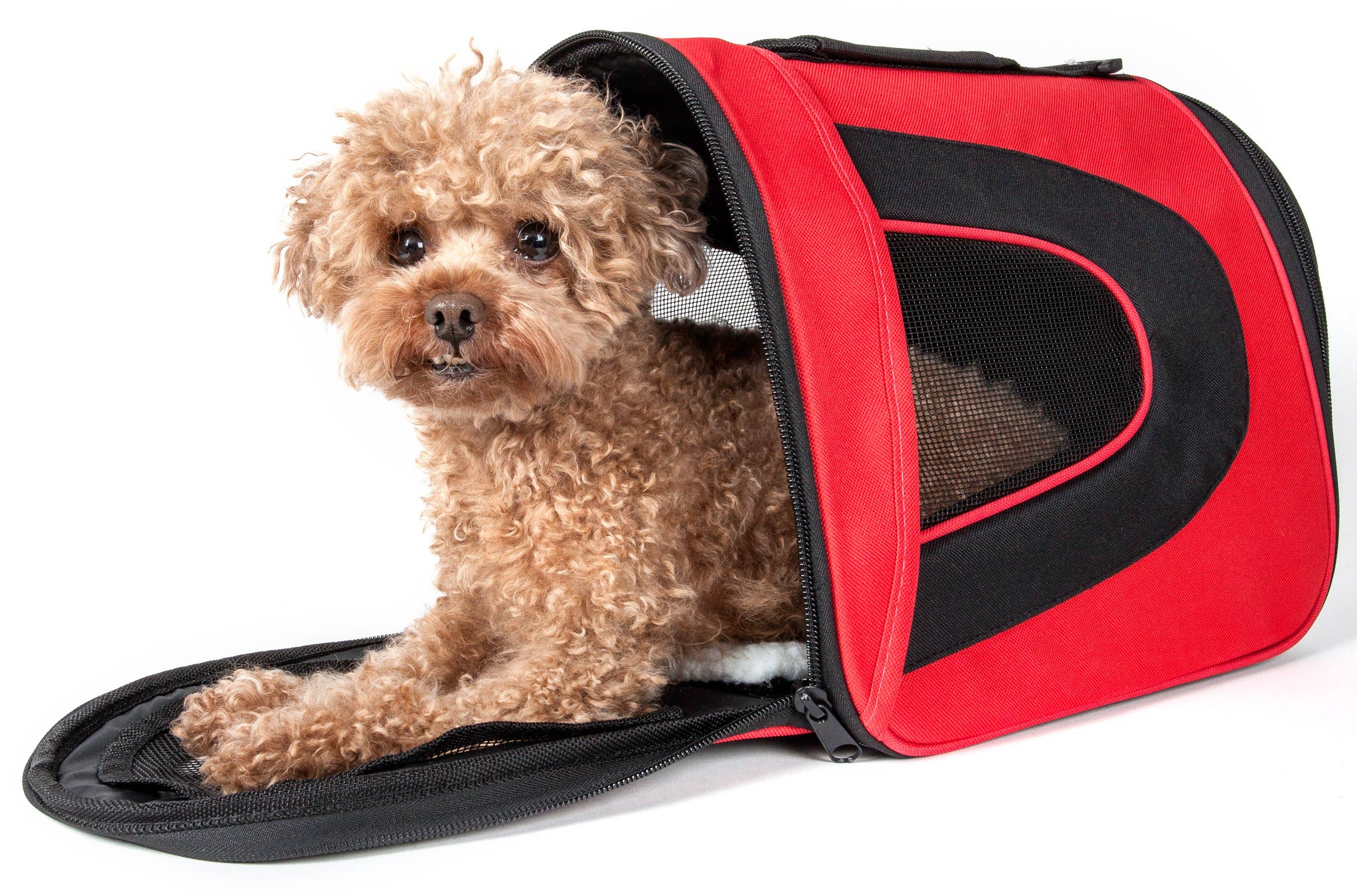 Pet Life - Vente Caisse de transport – chat et chien - Porte-animaux de compagnie pliable à fermeture éclair pour animaux de compagnie aérienne8