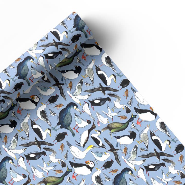 Coastal Birds of Britain wrapping paper Sheets for wholesale by Alexia Claire Ltd