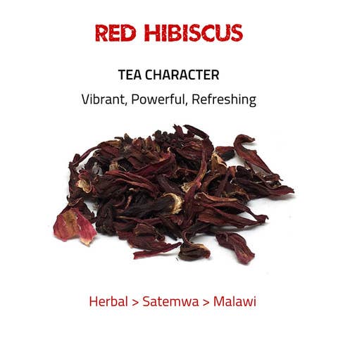 Tea Rebellion - Venta al por mayor Bolsitas de té - Hibiscus rojo - Té de Malawi | Bolsas pirámide biodegradables1