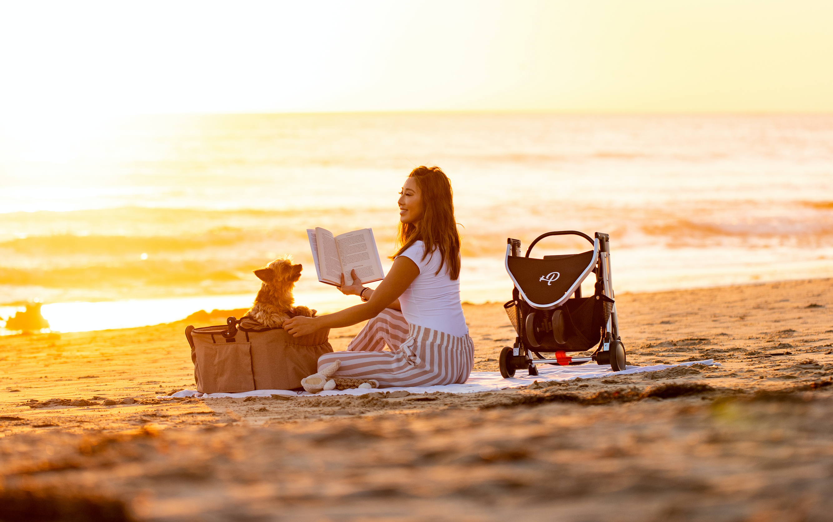 Petique - Wholesale Pet Carrier - Cat/Dog - Newport Pet Stroller (3-in-1 Travel System)22