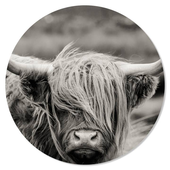 Cercle mural en forme de vache, noir et blanc pour la vente par GM decoratie