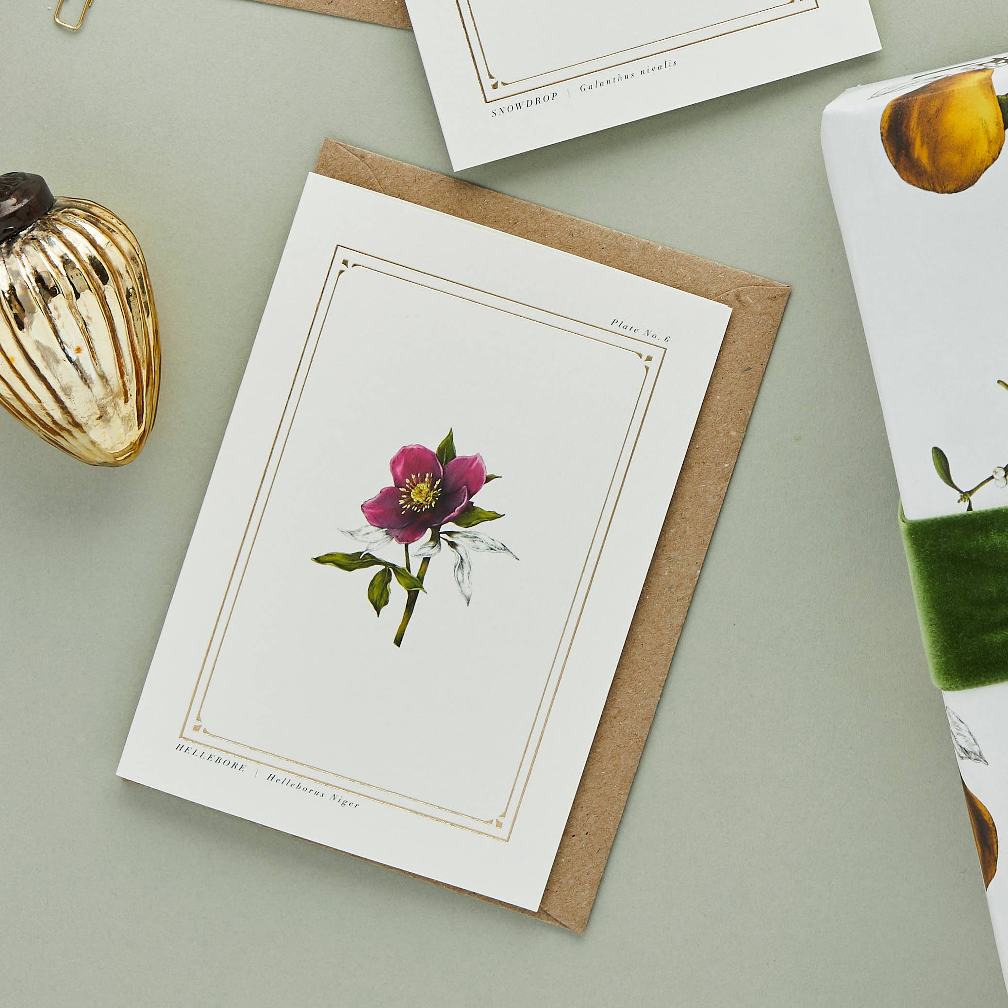 Catherine Lewis Design - Wholesale Everyday Greeting Card - Hellebore - 'The Botanist Archive : Festive Edition' - Card2